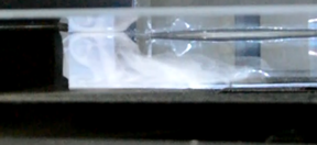 Review Flores-Herrera et al 2017a-image36-c.png