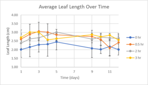 Review 855074334749-image4.png