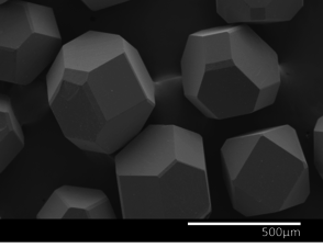 Maiorano Molina 2021a-image5.png