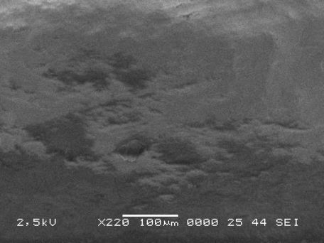 Valea et al 2019c-image9.jpeg