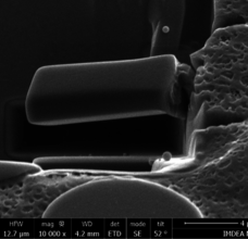 Draft Mocerino 876475071-image7-c.png