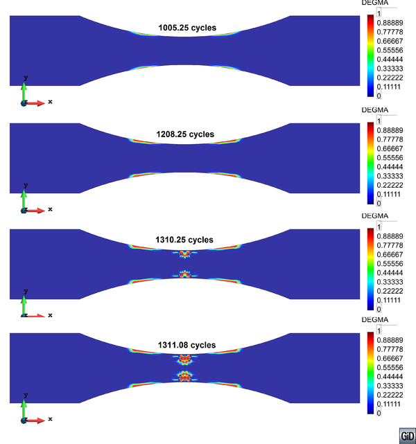 Distribution of the damage parameter in the isophtalic matrix at different time steps