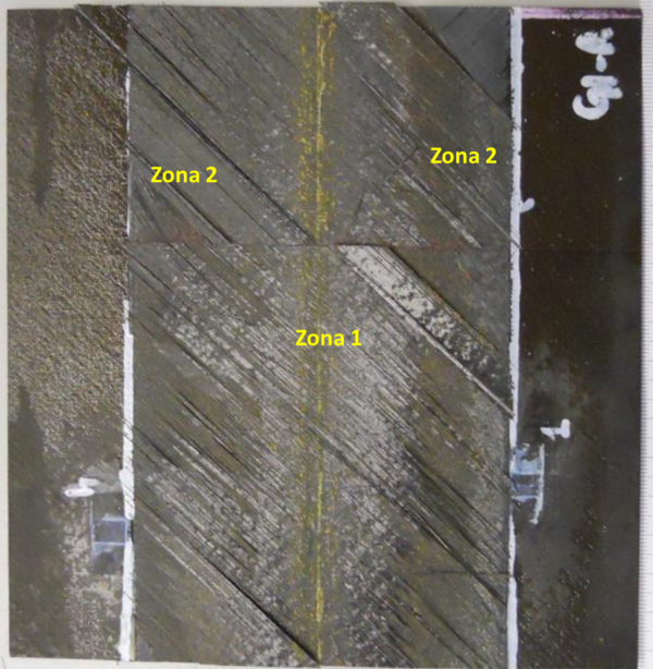 Justo et al 2017a-image13.png