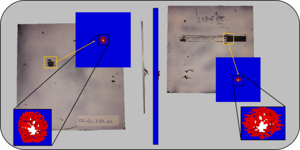 Pinto et al 2021a-image8-c.png