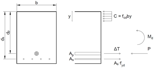 Section analysis