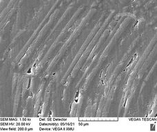 Review 824132888298-image55.jpeg