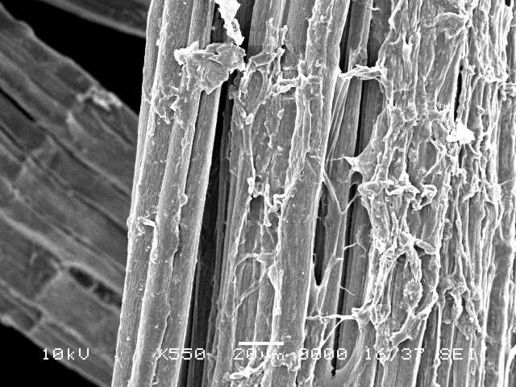 Valea et al 2019a-image6.jpeg