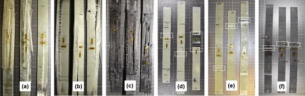 Draft Hejjaji 505280600-image3.jpeg