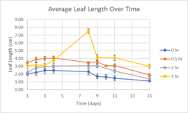 Draft Melika 433147401-image5-c.png