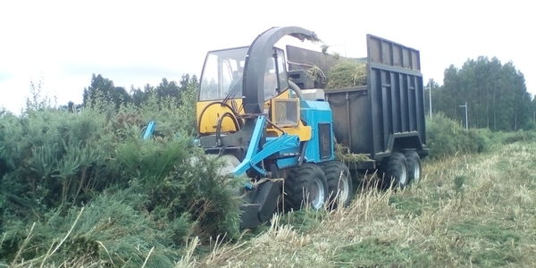 Draft Compuestos 598303311-image6-c.jpeg