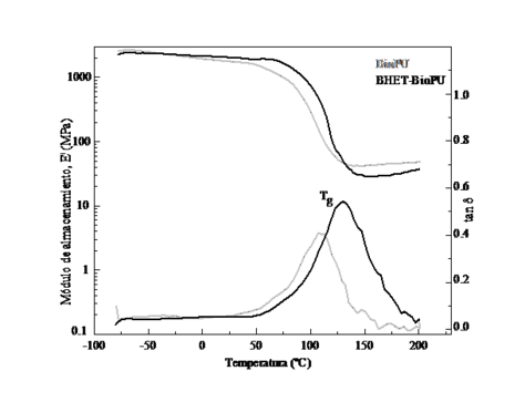 Draft Eceiza 183247528-image3-c.png