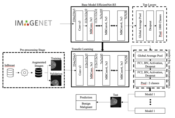 Draft Hussain 989919632-image3.png