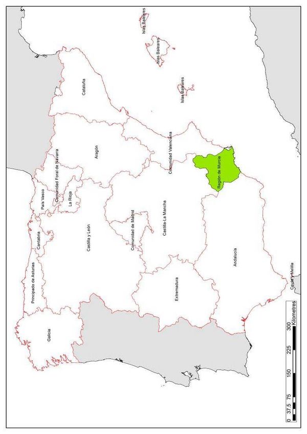 Draft Samper 474784898-image51.jpeg