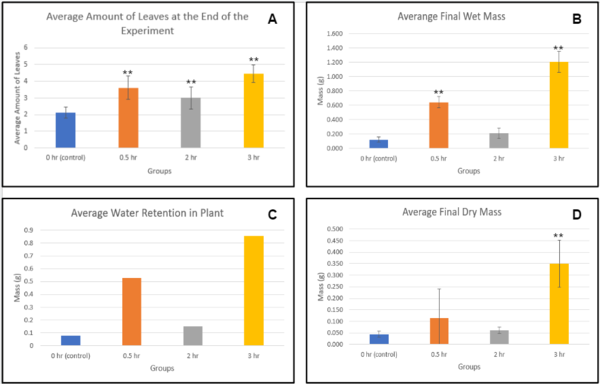 Review 503425353206-image1-c.png