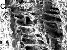 Draft Compuestos 234726039-image10.jpg