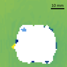 Draft Naya Montans 927085361-image5.png