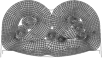 Forma final crimpada da simulação 5.
