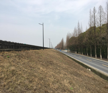 Draft Zhongxiang 374164140-image1.png