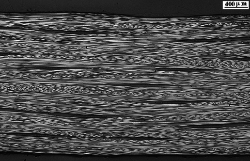 Gayoso et al 2019a-image12.png