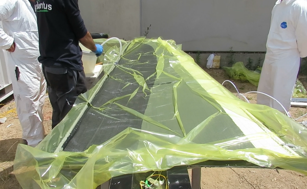 Gonzalez-Castro et al 2022a-image13-c.png