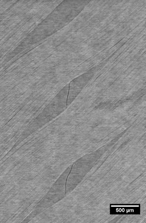 Delgado et al 2021a-image8.jpeg