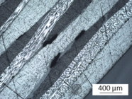 Draft Del Puerto Nevado 249455552-image15.png