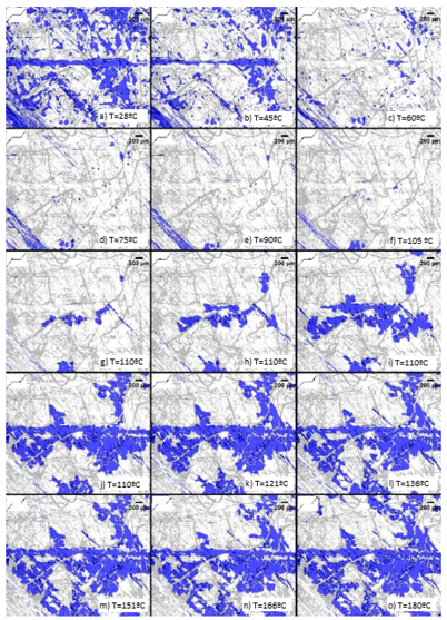 Torres et al 2021b-image19.png