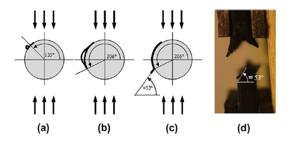 Zumaquero et al 2017a-image5.png