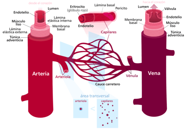 Draft Samper 411837410-image6.png