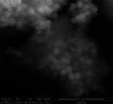 Izarra et al 2019a-image12.png