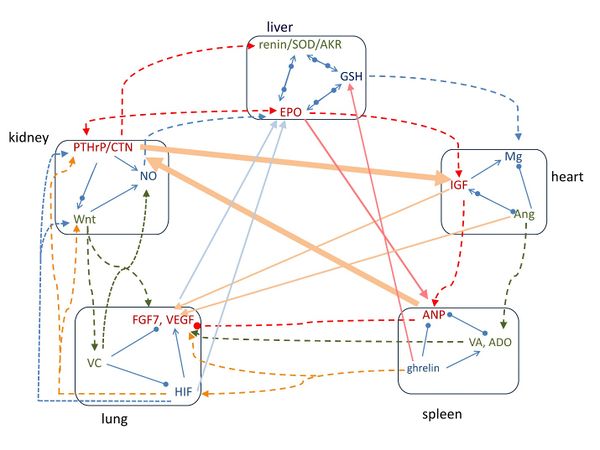Draft Liu 550645973-image2.jpeg