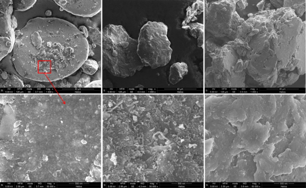 Uris et al 2021a-image15.png