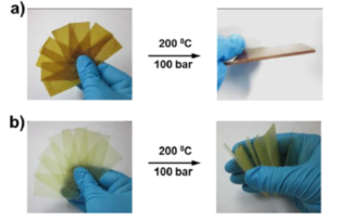 Draft Genua 385077724-image1.png