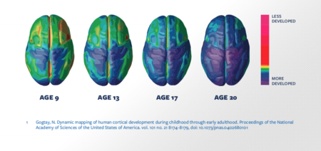 Draft Jacqmotte 577819423-image2-c.png