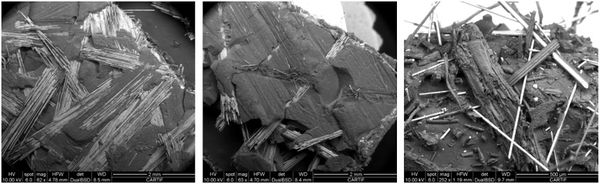 Pesquera Verdugo 2022a-image13.jpeg