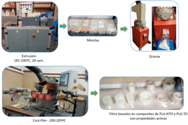Draft Fenollar Gimeno 191493541-image9-c.png