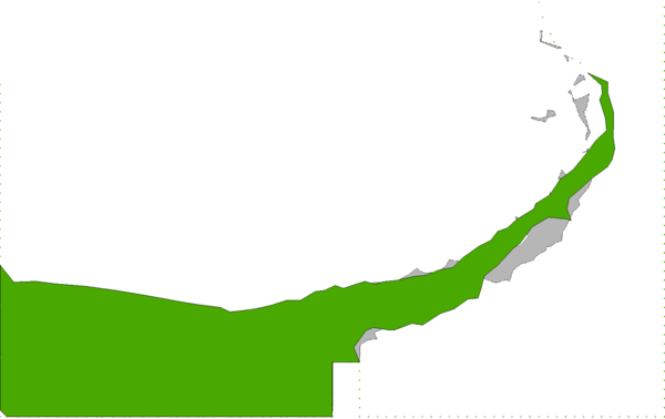Collapse of a water column over a rigid step. Superposition of the results obtained with an average mesh size of 0.008 m for the 2D and 3D simulations (green and grey colours, respectively) and with slip conditions on the walls.