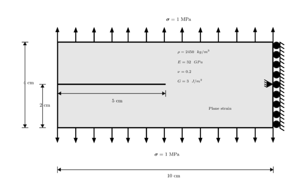 Geometrical specification, numerical parameters, material properties and boundary conditions for dynamic crack branching experiment.