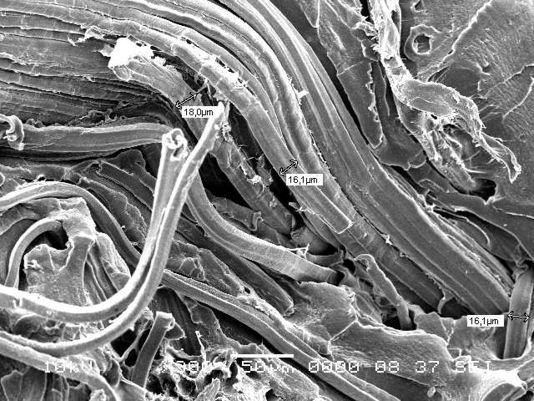 Valea et al 2019a-image9.jpeg