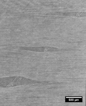 Delgado et al 2021a-image10.jpeg