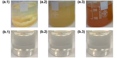 Draft AEMAC 617760833-image5-c.png