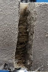 BESOMBES et al 2021a-image9.jpeg