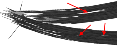 Investigation of the interrupted wing structure - Due to the chosen approach the elements with double cut edges can only represent one side of the structure. The interruptions are indicated with red arrows.