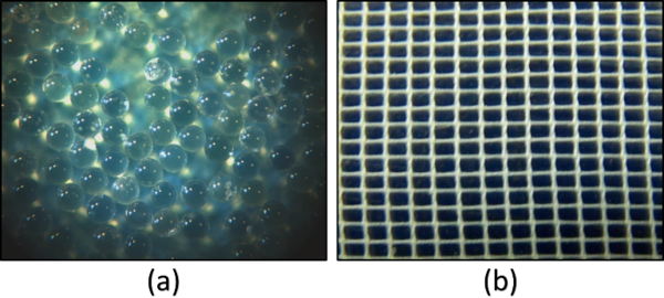 Draft Compuestos 541372741-image5-c.png