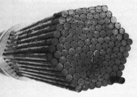 Draft Samper 432909089-monograph-image117.png