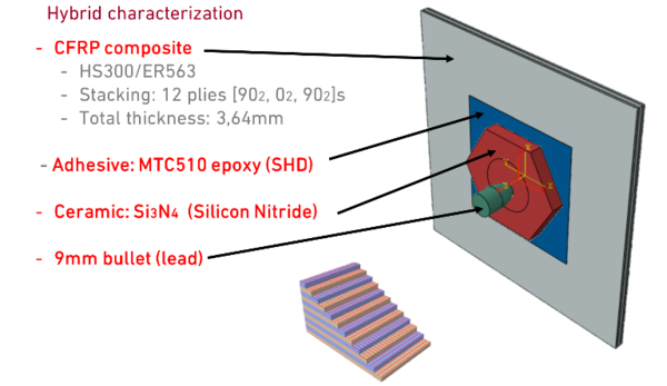 Pinto et al 2021a-image6-c.png