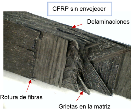 Torija et al 2021a-image8.png