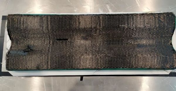 Alberdi et al 2021a-image13.jpeg