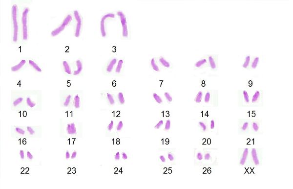 Draft BELTRAN URREGO 123847636-image5.jpg