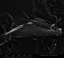 Garcia-Martinez et al 2019a-image6.png